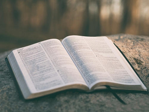 2021年山东英语学习技巧(图1) 2021年山东英语学习技巧(图1)