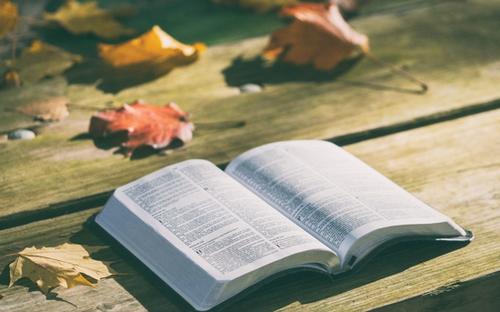 2021年4月山东自考考试在即,如何做好最后的复习冲刺?(图1) 2021年4月山东自考考试在即,如何做好最后的复习冲刺?(图1)