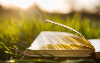 2021山东自考免考政策(图1) 2021山东自考免考政策(图1)