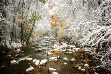 山东省自考中国古代文学史一(本科)考前背诵知识点(图1) 山东自考古代文学史