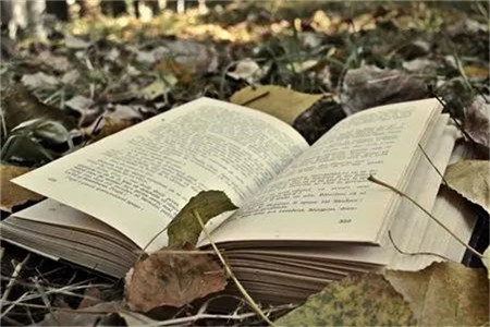 山东省成人自考免考如何申请?(图1) 山东自考