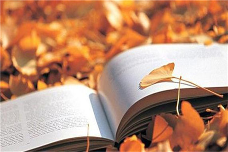 山东省自考的认可程度如何?有几种学历层次?(图1) 山东自考