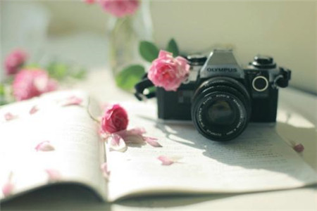 山东省自考试点本科如何办理毕业?(图1) 山东自考试点本科