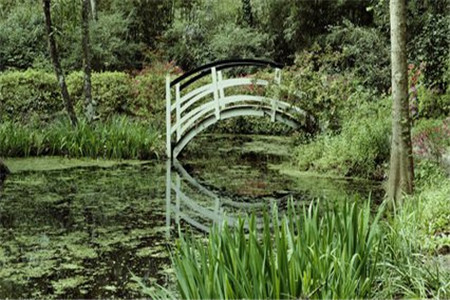 山东自考论文怎么申请?(图1) 山东自考论文怎么申请?(图1)