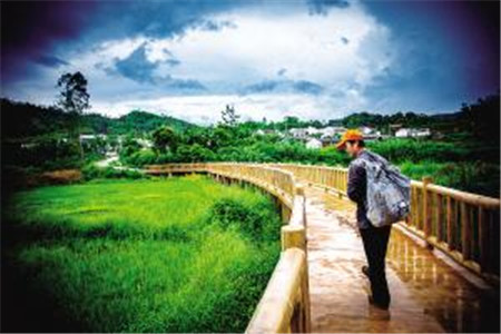 山东自考本科报考计算机专业考哪些?难度大吗?(图1) 山东自考本科报考计算机专业考哪些?难度大吗?(图1)