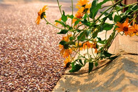 山东省自考什么人都可以报考吗?(图1) 山东省自考什么人都可以报考吗?(图1)