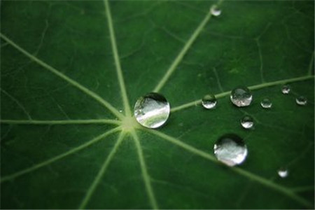 山东省自考的三大骗局,考生们都有防备吗?(图1) 山东省自考的三大骗局,考生们都有防备吗?(图1)