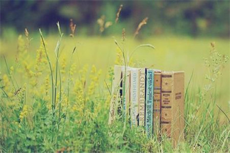 山东省自考经济类专业可以使用计算器吗?(图1) 山东自考经济类专业可以使用计算器吗?