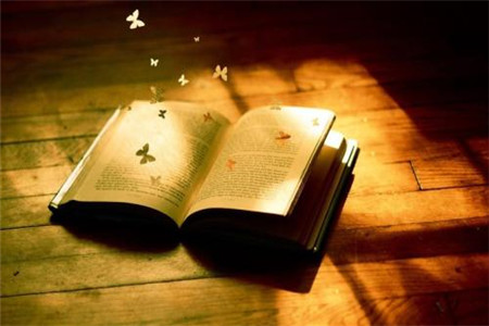 山东省自考成人学位外语考试应该注意哪些问题?(图1) 山东自考成人学位外语考试应该注意哪些问题?