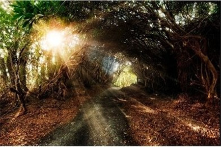 山东自考如何应对简答、论述、作文以及计算题？