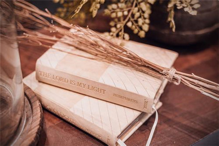 山东省自考公共课、专业课应如何选择报考?(图1) 山东自考公共课、专业课应如何选择报考?