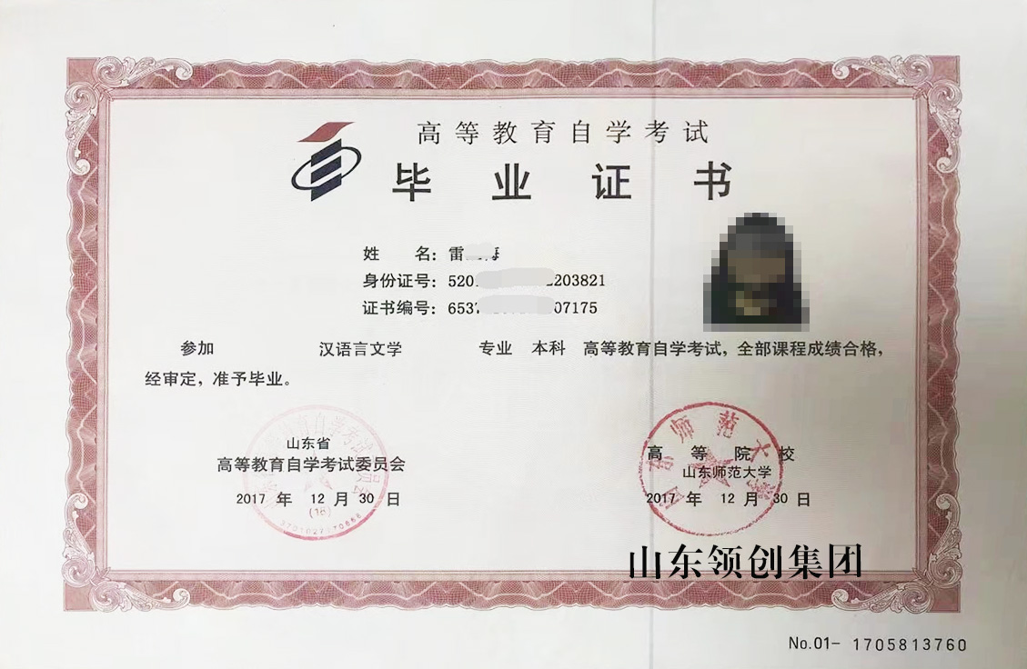山东师范大学自考本科汉语言专业毕业证书样本.jpg