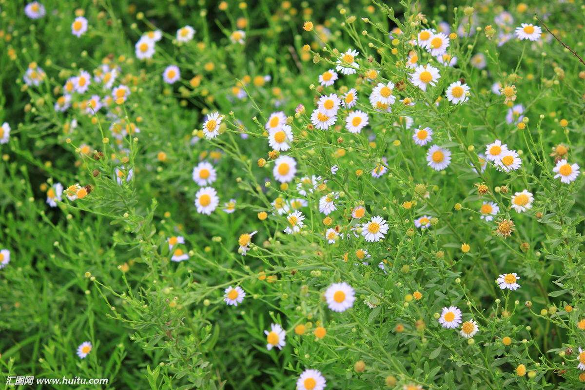 如何学习“概率论与数理统计”(图1) timg (1).jpg