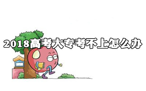 2018高考大专考不上怎么办?(图1) 高考大专