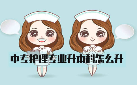 中专护理专业升本科怎么升?(图1) 中专护理专业升本科