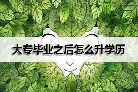 大专毕业之后怎么升学历?(图1) 大专之后怎么升学历