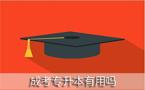 成考专升本有用吗?(图1) 成考专升本有用吗
