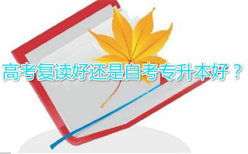 18年选择高考复读好还是自考专升本好?(图1) 高考复读好还是自考专升本好
