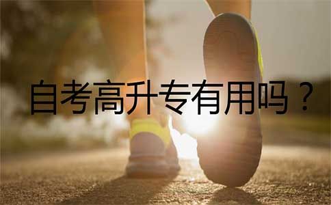 自考高升专有用吗?(图1) 高升专